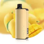 ALIBARBAR INGOT マンゴー(Mango) 9000 Puffs